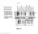 Fig. 37 - EXOSOMES AND USES THEREOF