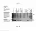 Fig. 45 - EXOSOMES AND USES THEREOF