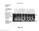 Fig. 48 - EXOSOMES AND USES THEREOF