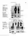 Fig. 60 - EXOSOMES AND USES THEREOF