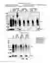 Fig. 61 - EXOSOMES AND USES THEREOF