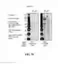 Fig. 71 - EXOSOMES AND USES THEREOF