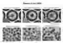 Fig. 01 - VIRUS INFECTION MODEL, PREPARATION METHOD THEREFOR, AND UTILIZATION THEREOF