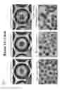Fig. 02 - VIRUS INFECTION MODEL, PREPARATION METHOD THEREFOR, AND UTILIZATION THEREOF