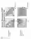 Fig. 08 - VIRUS INFECTION MODEL, PREPARATION METHOD THEREFOR, AND UTILIZATION THEREOF