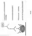 Fig. 05 - POINT OF CARE ASSAYS