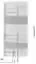 Fig. 13 - POINT OF CARE ASSAYS