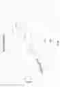 Fig. 14 - POINT OF CARE ASSAYS
