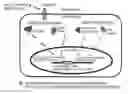 Fig. 01 - Cancer test device, cancer test method, and staining agent for use in cancer test