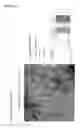 Fig. 11 - Cancer test device, cancer test method, and staining agent for use in cancer test
