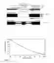 Fig. 15 - Fast thermo-optical particle characterisation