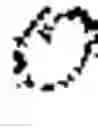 Fig. 14 - Scanning tunneling thermometer