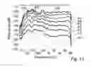 Fig. 09 - Spectral-dynamics of an audio signal