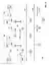 Fig. 17 - Acceleration of data processing for object detection