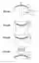 Fig. 06 - Optical element and optical apparatus