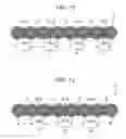 Fig. 10 - Method for manufacturing intermittent bonding type optical fiber ribbon and intermittent bonding type optical fiber ribbon