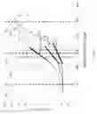Fig. 08 - Systems, devices and methods for automatic microscopic focus