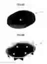 Fig. 09 - Optical scanning device