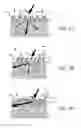 Fig. 07 - Image display system