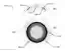 Fig. 01 - OPHTHALMIC DEVICES INCORPORATING PHOTONIC ELEMENTS