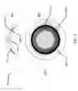 Fig. 04 - OPHTHALMIC DEVICES INCORPORATING PHOTONIC ELEMENTS