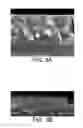 Fig. 06 - DISPLAY PANEL