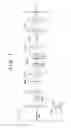 Fig. 02 - Exposure apparatus, exposure method, and article manufacturing method