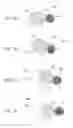 Fig. 06 - Image forming apparatus and image forming method in which distances between image bearing members and transfer belt vary depending on mode