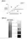 Fig. 08 - Image forming apparatus and storage medium