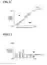 Fig. 10 - Image forming apparatus and storage medium