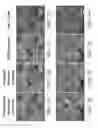 Fig. 10 - Method and system for pixel super-resolution of multiplexed holographic color images