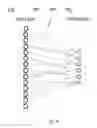 Fig. 05 - SPARSE ASSOCIATIVE MEMORY FOR IDENTIFICATION OF OBJECTS