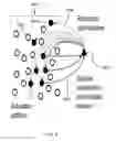 Fig. 07 - SPARSE ASSOCIATIVE MEMORY FOR IDENTIFICATION OF OBJECTS