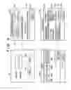 Fig. 06 - Communication apparatus, method of controlling the same, and storage medium