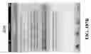 Fig. 157 - SYSTEMS, METHODS, AND MEDIA FOR PRESENTING INTERACTIVE CHECKLISTS