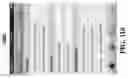 Fig. 161 - SYSTEMS, METHODS, AND MEDIA FOR PRESENTING INTERACTIVE CHECKLISTS