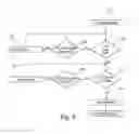 Fig. 07 - Suspending translation look-aside buffer purge execution in a multi-processor environment