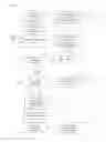 Fig. 05 - Landing page generation