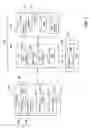 Fig. 02 - Resource-efficient record processing in unified automation platforms for robotic process automation
