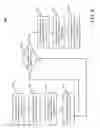 Fig. 12 - Systems, devices, and/or processes for OMIC and/or behavioral content processing