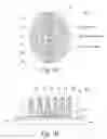 Fig. 02 - Biomarker quantification in a tissue sample