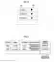 Fig. 05 - INFORMATION PROCESSING APPARATUS AND NON-TRANSITORY COMPUTER READABLE MEDIUM STORING INFORMATION PROCESSING PROGRAM