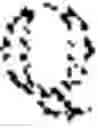 Fig. 02 - High-dimensional data anonymization for in-memory applications