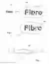 Fig. 02 - Device and method for producing and detecting a forgery-proof identification