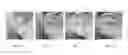 Fig. 06 - Unconstrained ear recognition using a combination of deep learning and handcrafted features