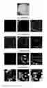 Fig. 09 - Unconstrained ear recognition using a combination of deep learning and handcrafted features