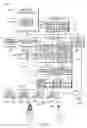 Fig. 20 - Device, system and method for generating an alert and an automatic search for a candidate subject