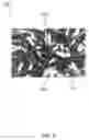 Fig. 06 - Yield prediction for a cornfield