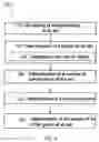 Fig. 07 - Yield prediction for a cornfield