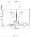 Fig. 13 - Yield prediction for a cornfield